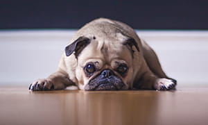 The Hidden Crisis of Solo Trip Planning