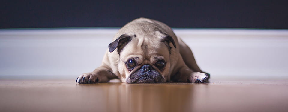 The Hidden Crisis of Solo Trip Planning